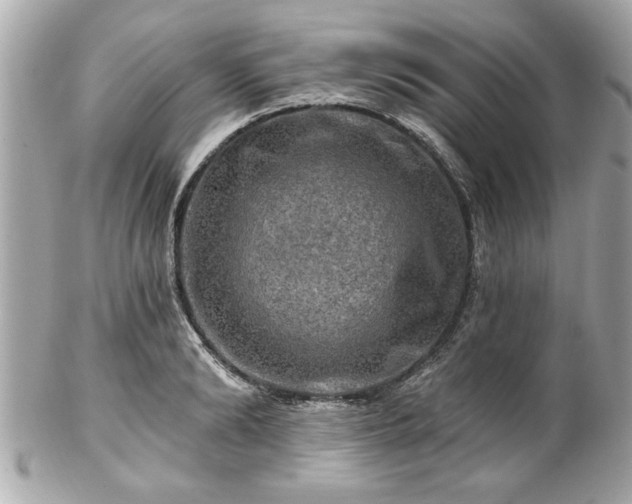 X0000102490894200808151453