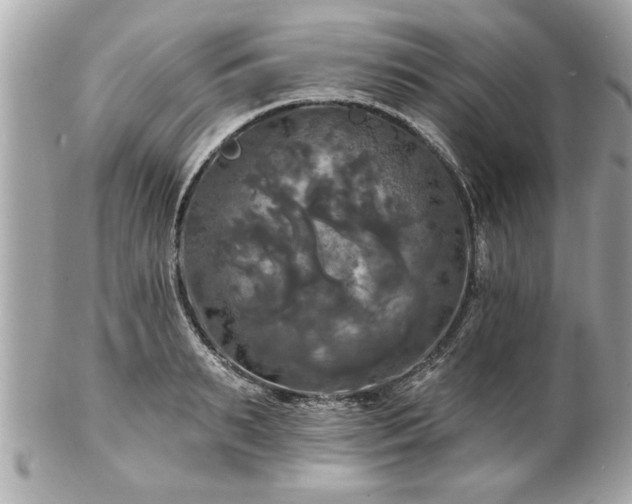 X0000102490895200808151453