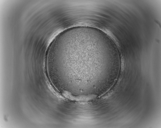 X0000102490896200808151453