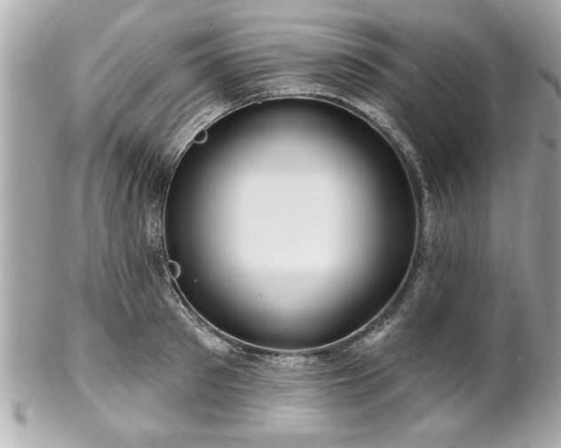 X0000102490897200808151453