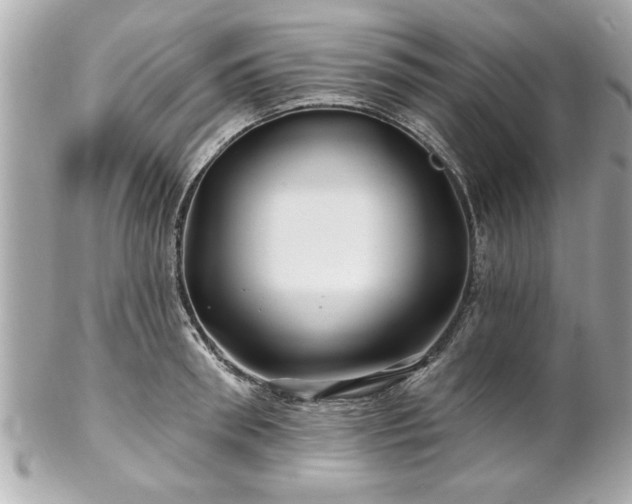 X0000102490898200808151453