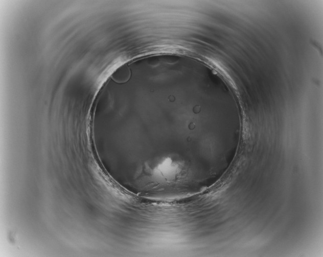 X0000102490899200808151453