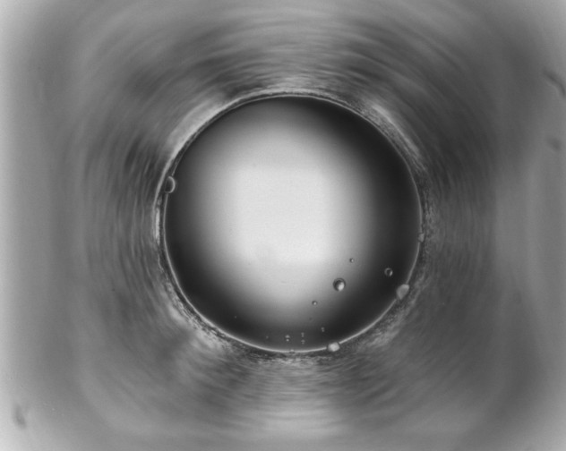 X0000102490900200808151453