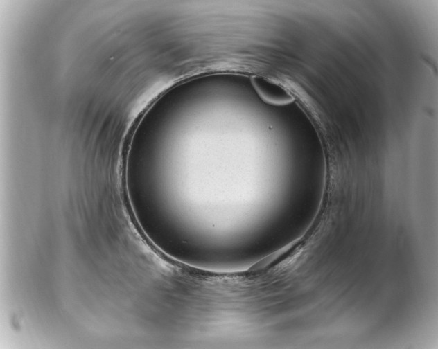 X0000102490902200808151453