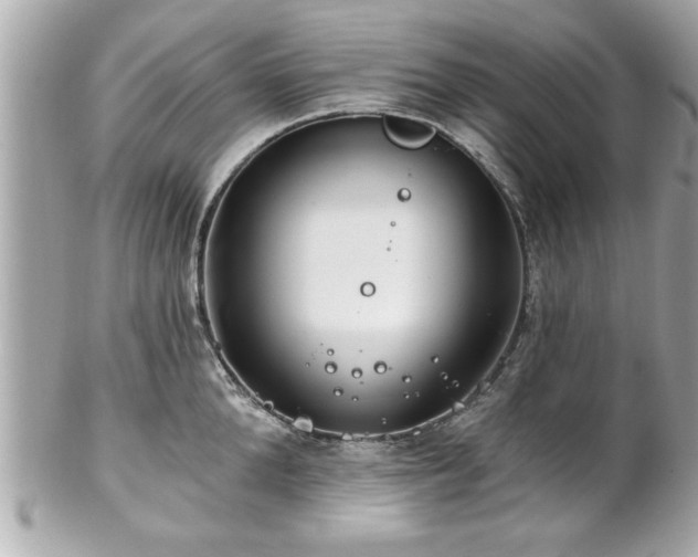 X0000102490904200808151453