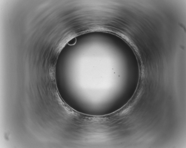 X0000102490905200808151453