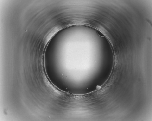 X0000102490906200808151453