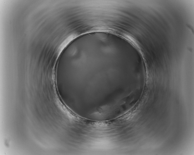 X0000102490907200808151453