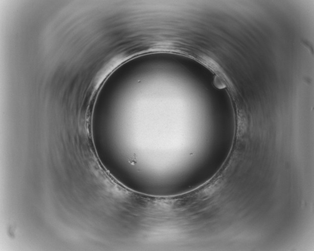 X0000102490908200808151453