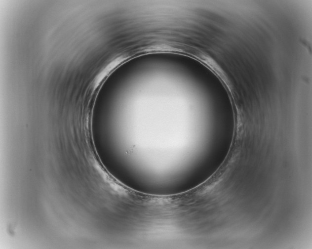 X0000102490909200808151453