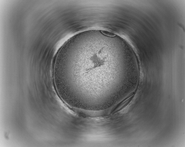 X0000102490910200808151453