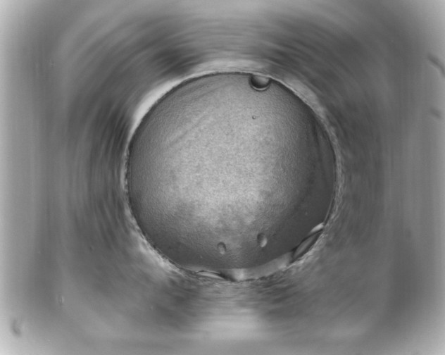 X0000102490912200808151453