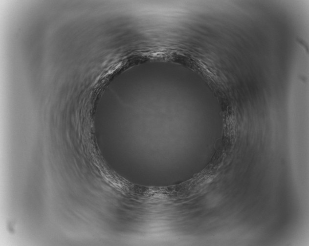 X0000102490913200808151452