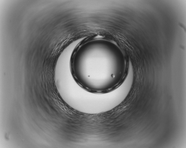 X0000102490916200808151452