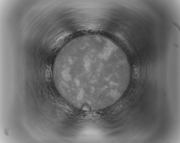 X0000102490918200808151452