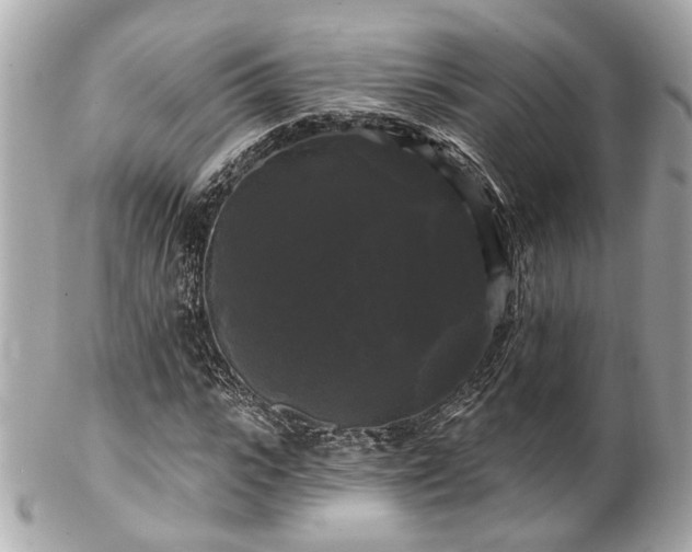 X0000102490919200808151452