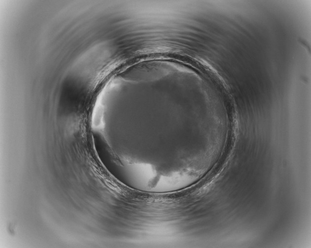 X0000102490921200808151452