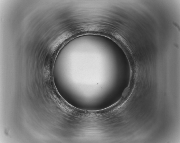 X0000102490922200808151452