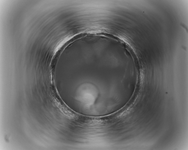 X0000102490925200808151453