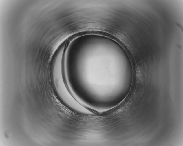 X0000102490926200808151453