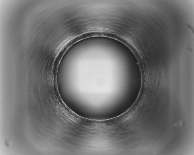 X0000102490927200808151453