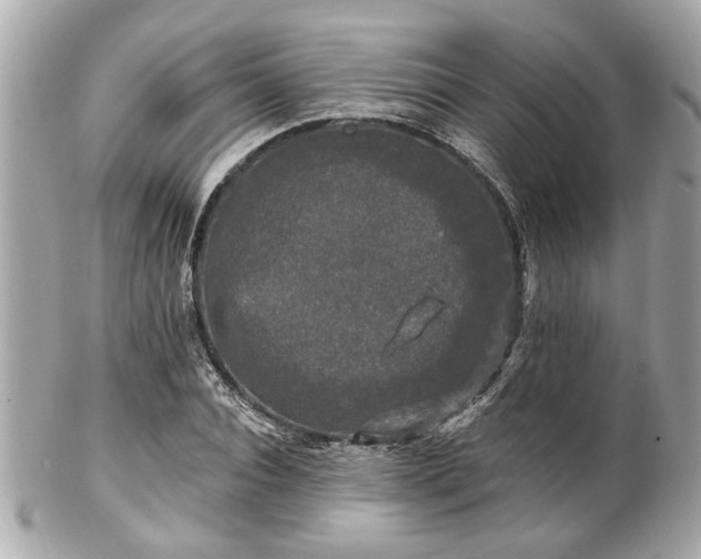 X0000102490928200808151453