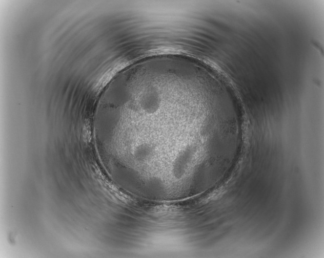 X0000102490929200808151453