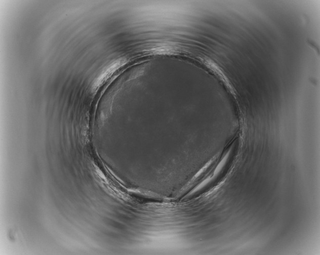 X0000102490930200808151453