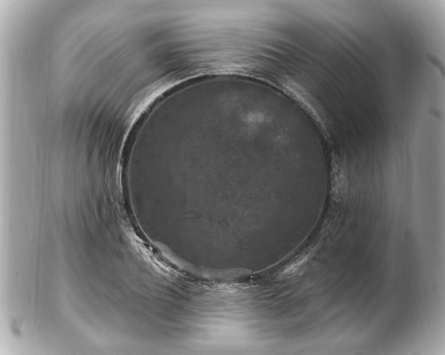 X0000102490932200808151453