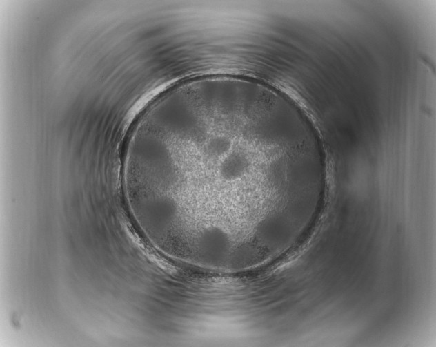 X0000102490933200808151453