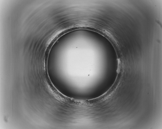 X0000102490934200808151453