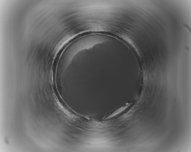 X0000102490935200808151453