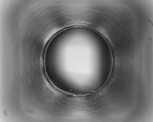 X0000102490936200808151453