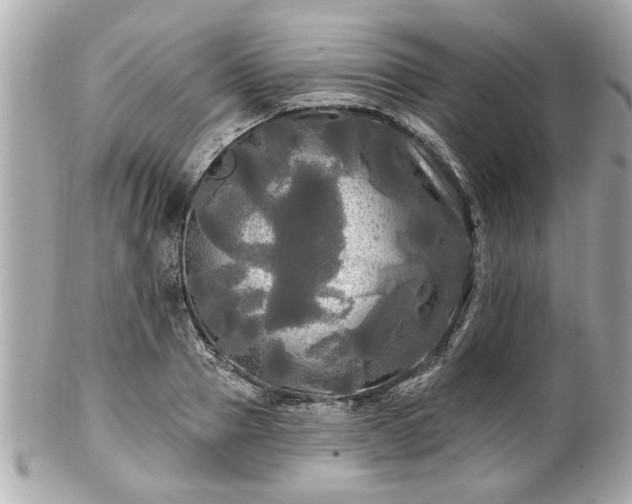 X0000102490937200808151453