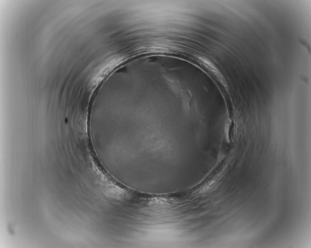 X0000102490938200808151453