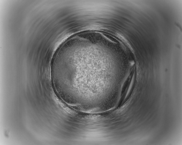 X0000102490939200808151453