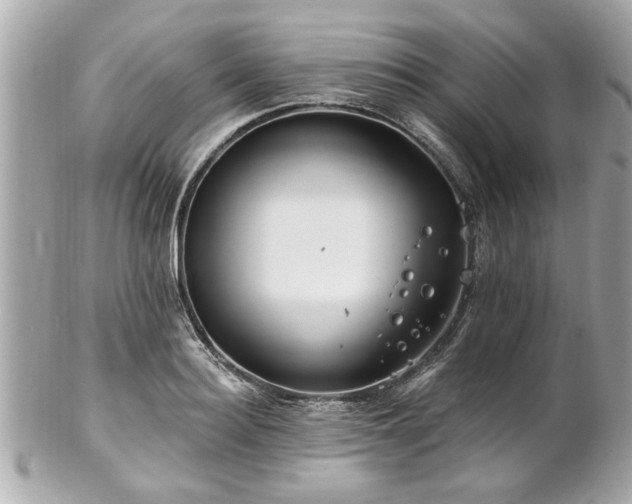 X0000102490940200808151453