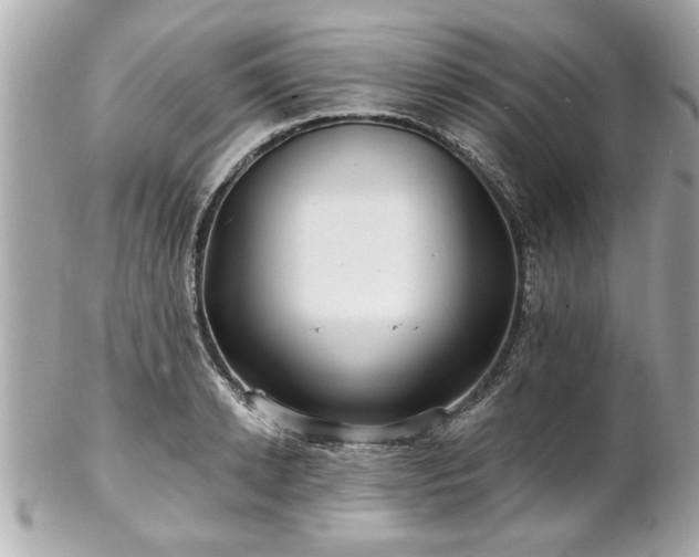 X0000102490942200808151453