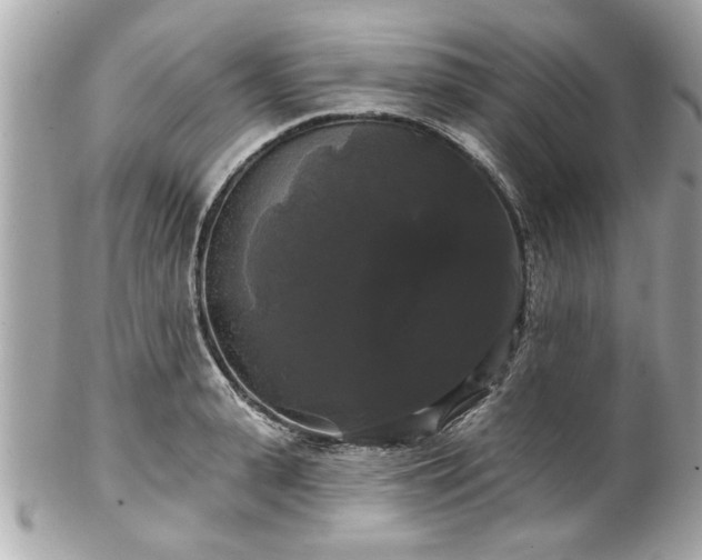 X0000102490943200808151453