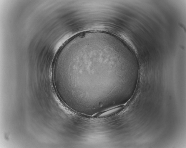 X0000102490944200808151453