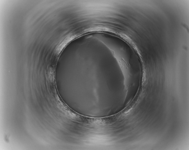 X0000102490945200808151453