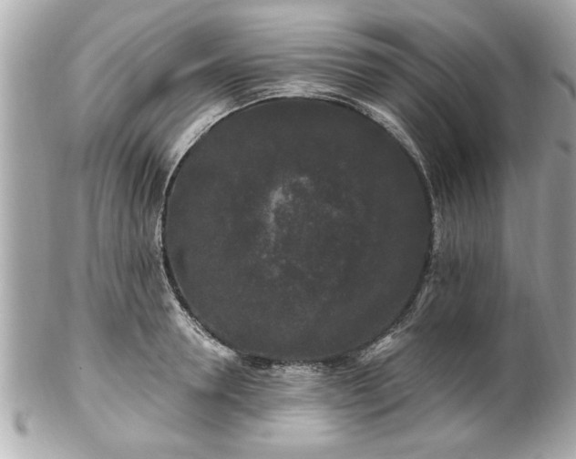 X0000102490946200808151453