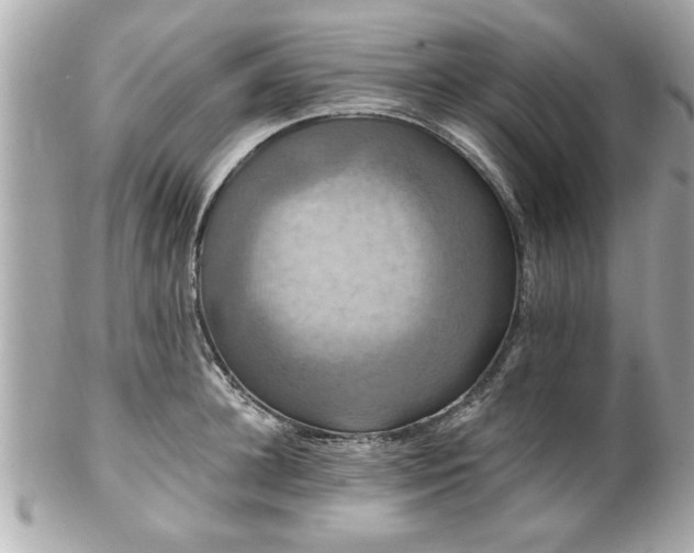 X0000102490948200808151453