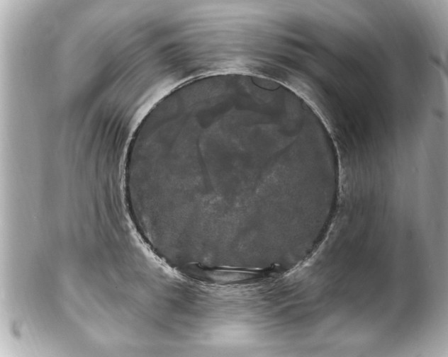 X0000102490949200808151453