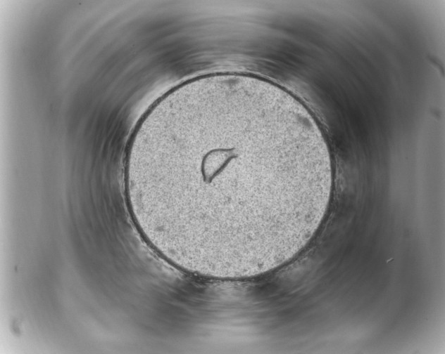 X0000102490950200808151453