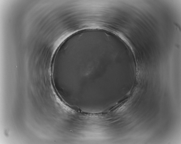 X0000102490951200808151453