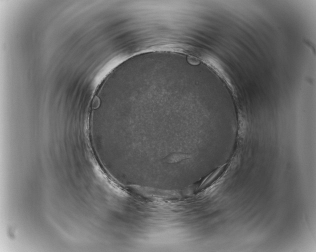 X0000102490952200808151453