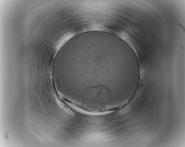 X0000102490954200808151453