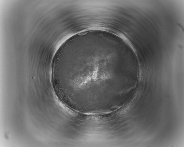 X0000102490955200808151453