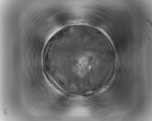 X0000102490957200808151453